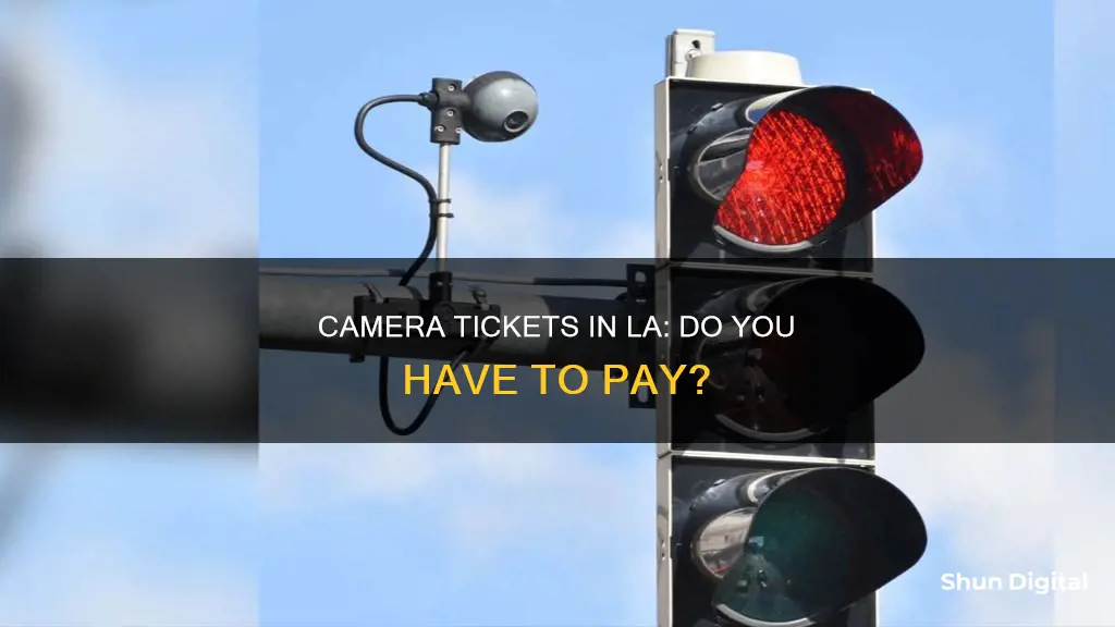 do you have to pay camera tickets in los angeles