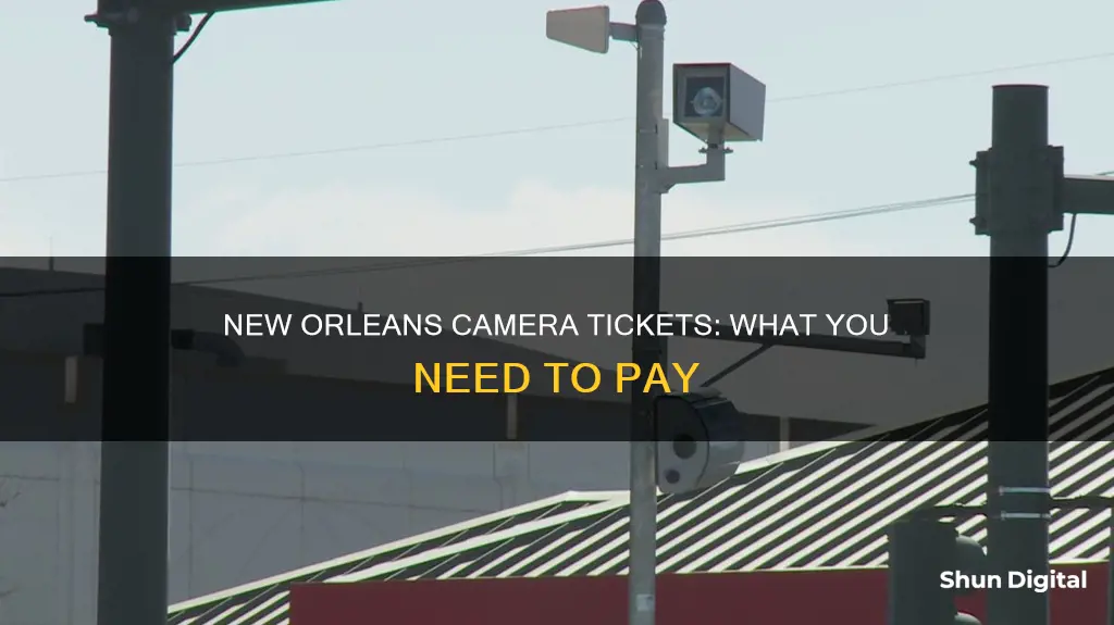 do you have to pay camera tickets new orleans