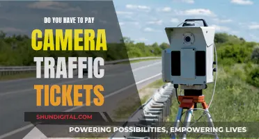 Traffic Camera Tickets: Pay or Dispute?