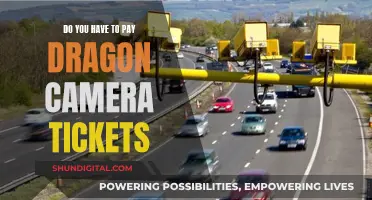 Dragon Camera Tickets: Are You Obliged to Pay Fines?