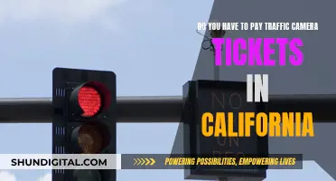 Traffic Camera Tickets: California's Payment Rules Explained