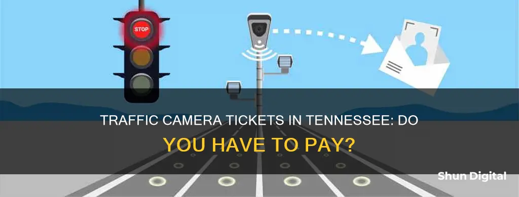 do you have to pay traffic camera tickets in tn