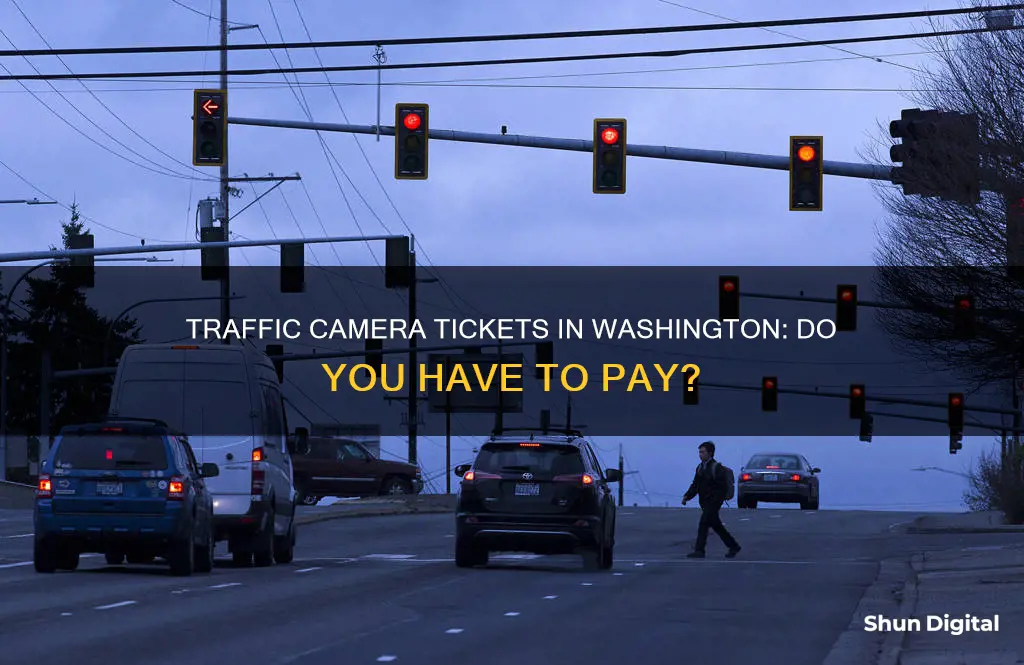 do you have to pay traffic camera tickets in washington