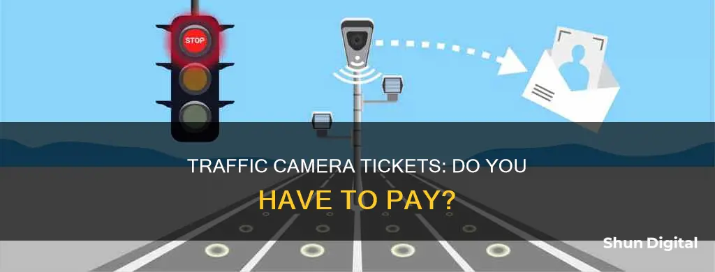 do you have to pay traffic camera tickets