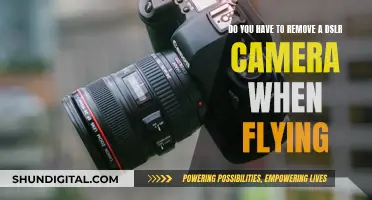 Flying with a DSLR: To Remove or Not?