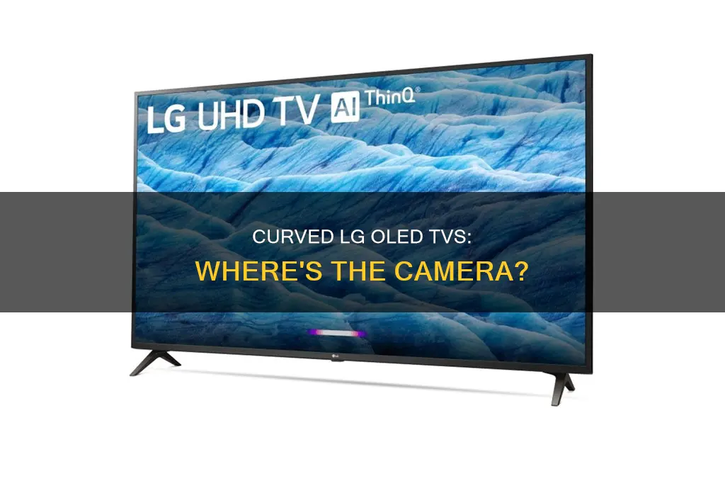 does 65 inch lg oled curved tv have a camera