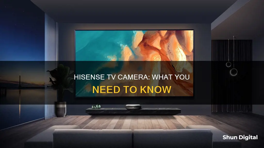 does a hisense tv have a camera