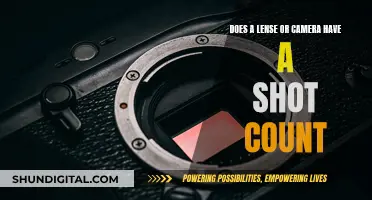 Understanding Camera and Lens Lifespan by Shot Count