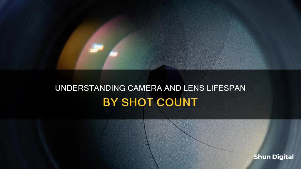 does a lense or camera have a shot count