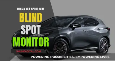 Blind Spot Monitor: Is it a Feature of NX F Sport?