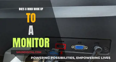 How to Connect Roku to a Monitor?