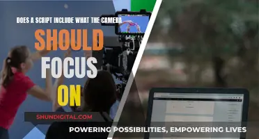 Scripting Camera Focus: Directing Visual Attention