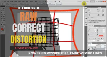 How Adobe Camera Raw Fixes Distortion Issues