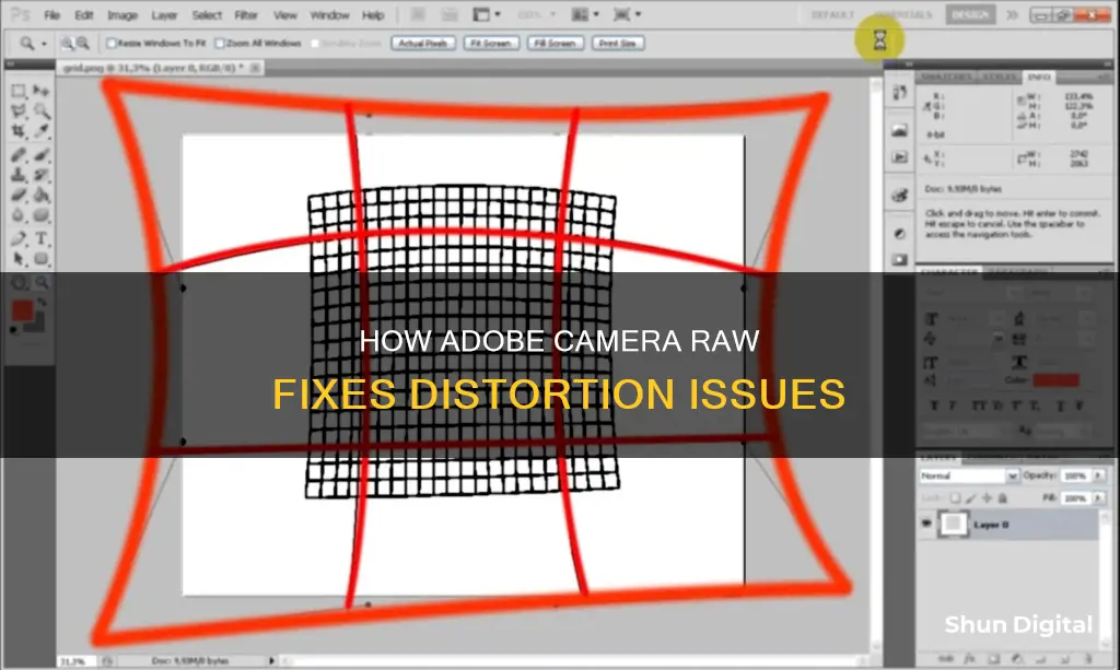 does adobe camera raw correct distortion