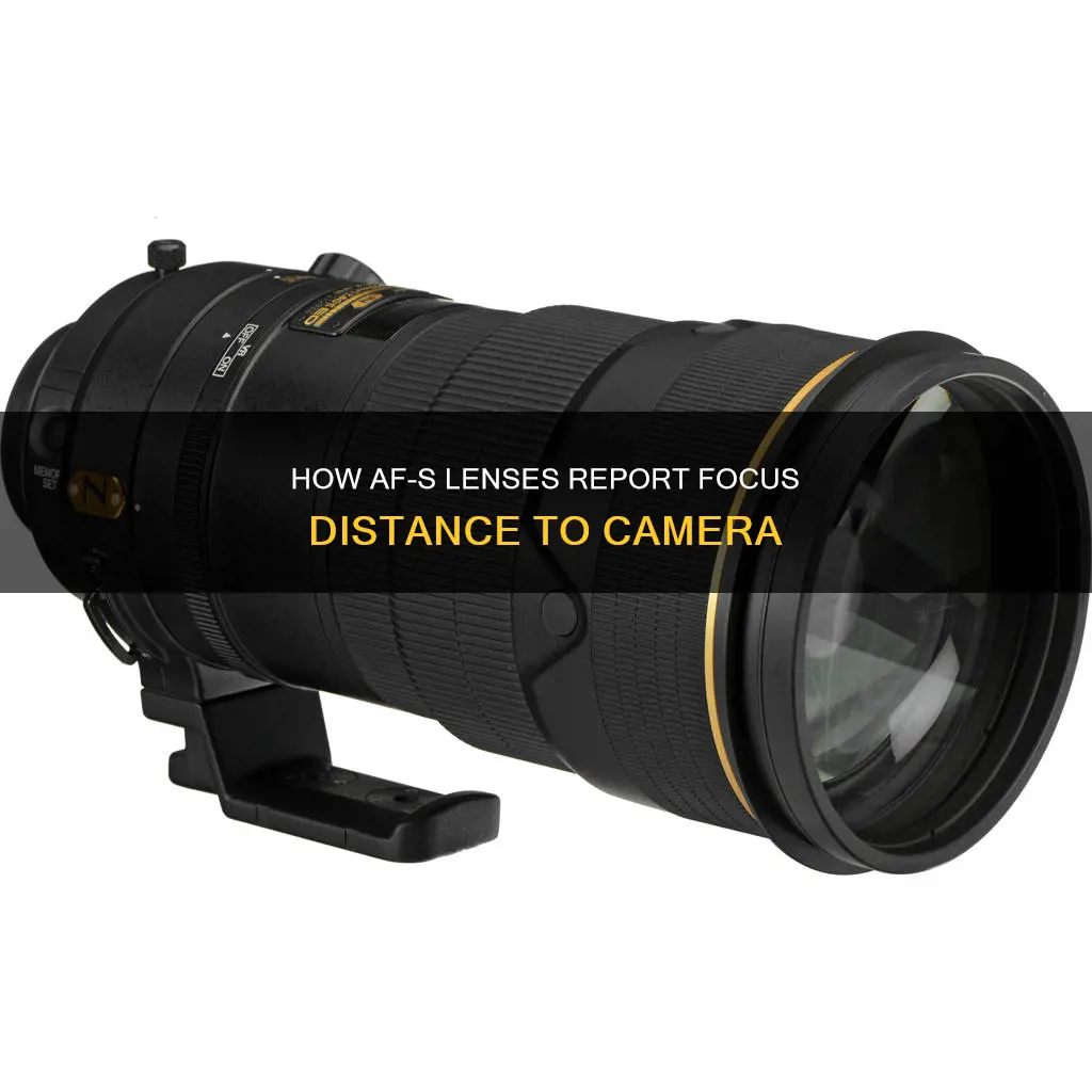 does af-s report focus distance to camera