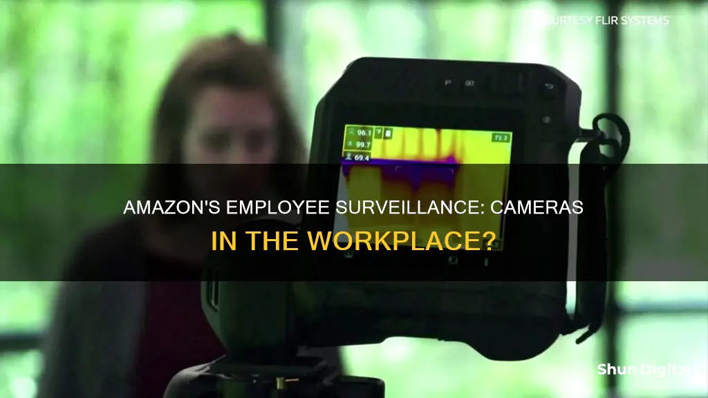 does amazon have cameras watching their employees