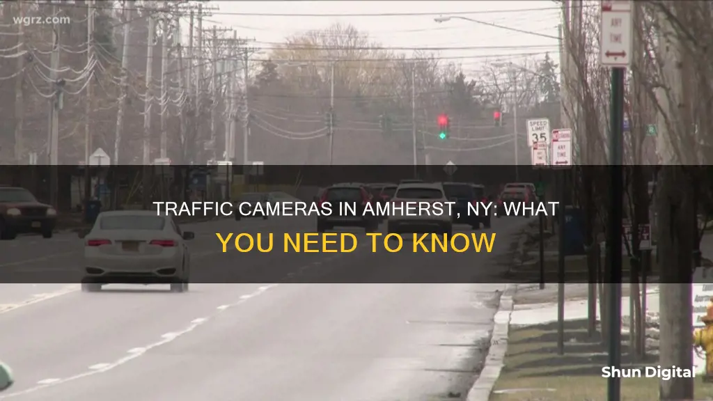 does amherst ny have traffic cameras