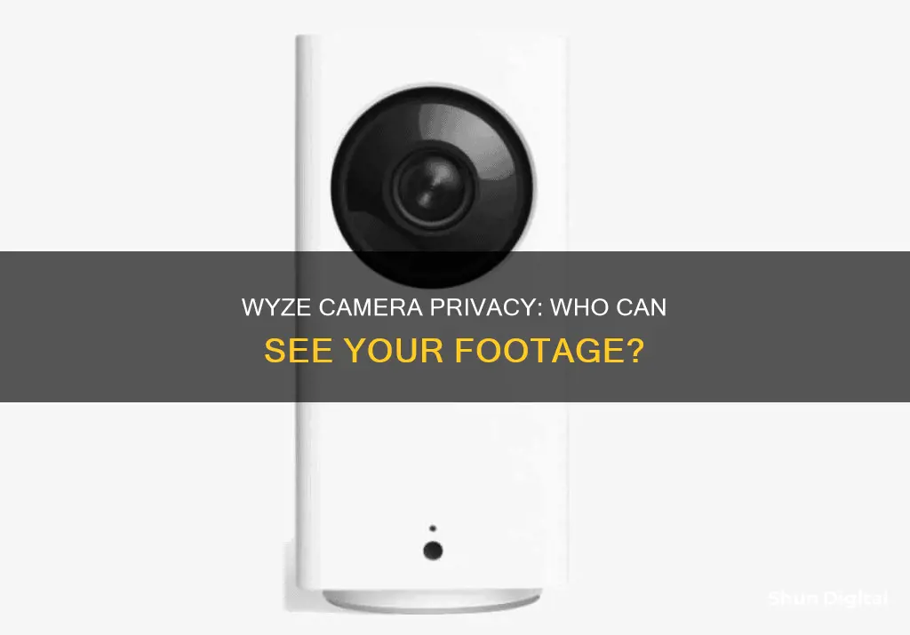 does anyone else see your wyze camera