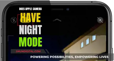 Apple Cameras: Night Mode Feature Explained