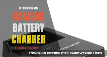 Best Buy's Camera Battery Charger Options Explored