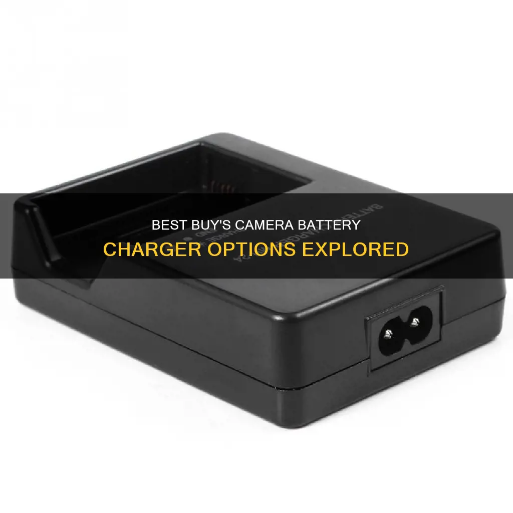 does bestbuy sell camera battery charger