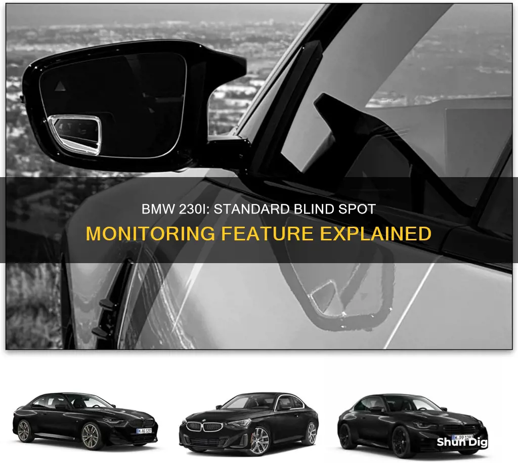 does bmw 230i have blind spot monitoring standard