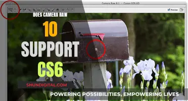 Adobe Camera Raw 10: CS6 Compatibility Explored