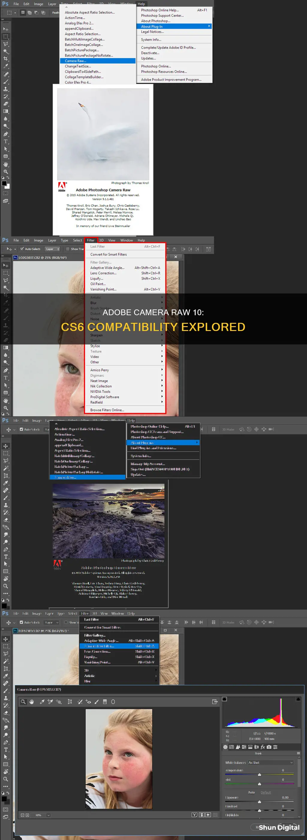 does camera raw 10 support cs6