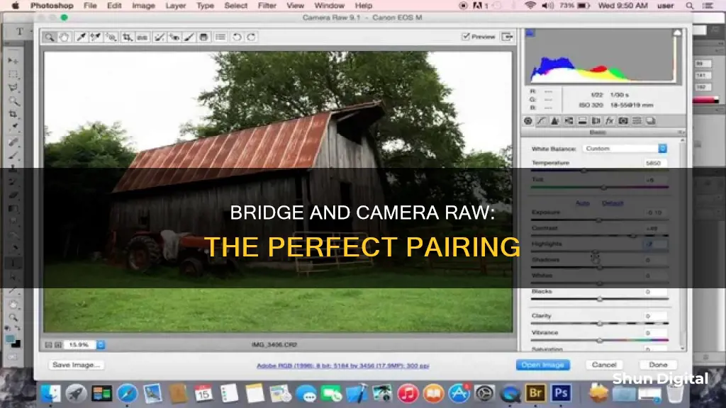 does camera raw come with bridge