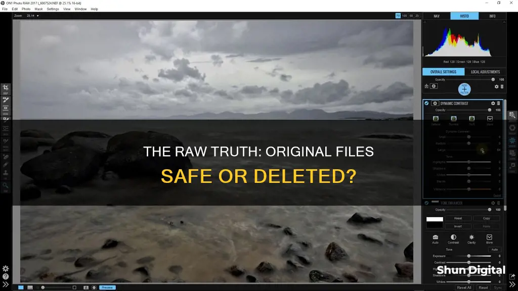 does camera raw delete the original file