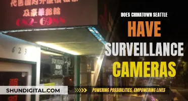 Surveillance in Seattle's Chinatown: Are Cameras Watching?