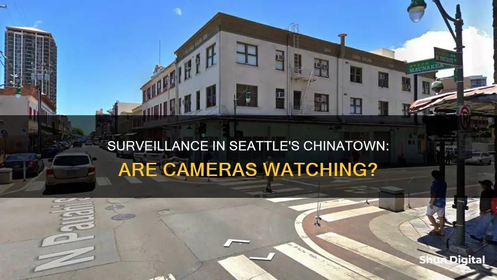 does chinatown seattle have surveillance cameras