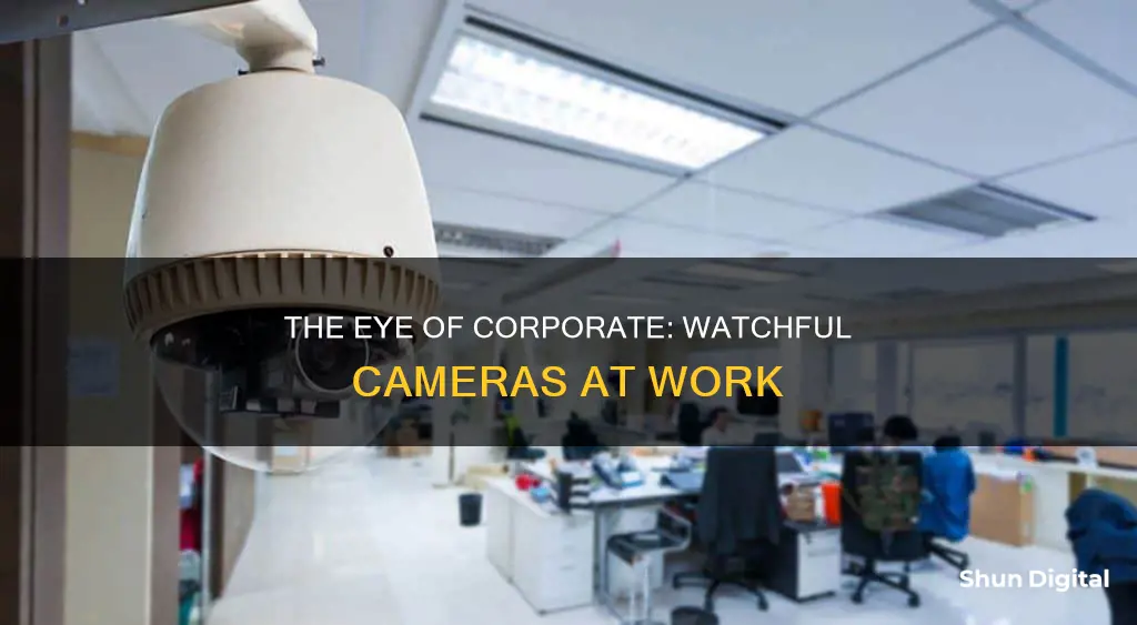 does corporate watch cameras