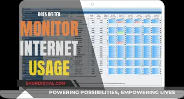 Deltek's Internet Monitoring: What You Need to Know