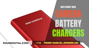 Disney's Camera Battery Chargers: A Photographer's Lifeline