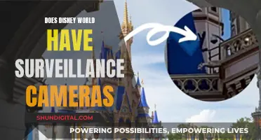 Disney World's Surveillance Camera Secrets Revealed