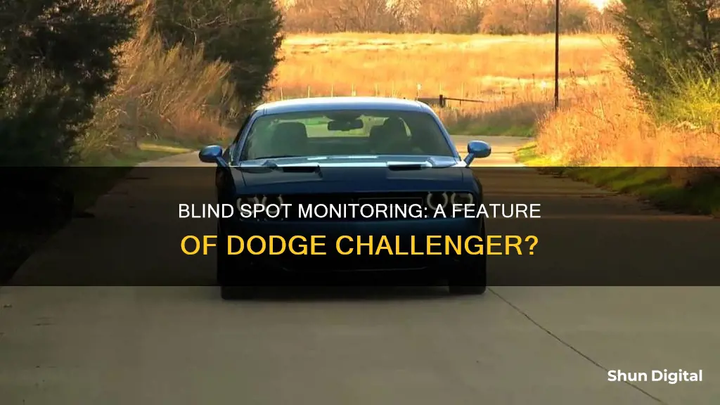 does dodge challenger have blind spot monitoring