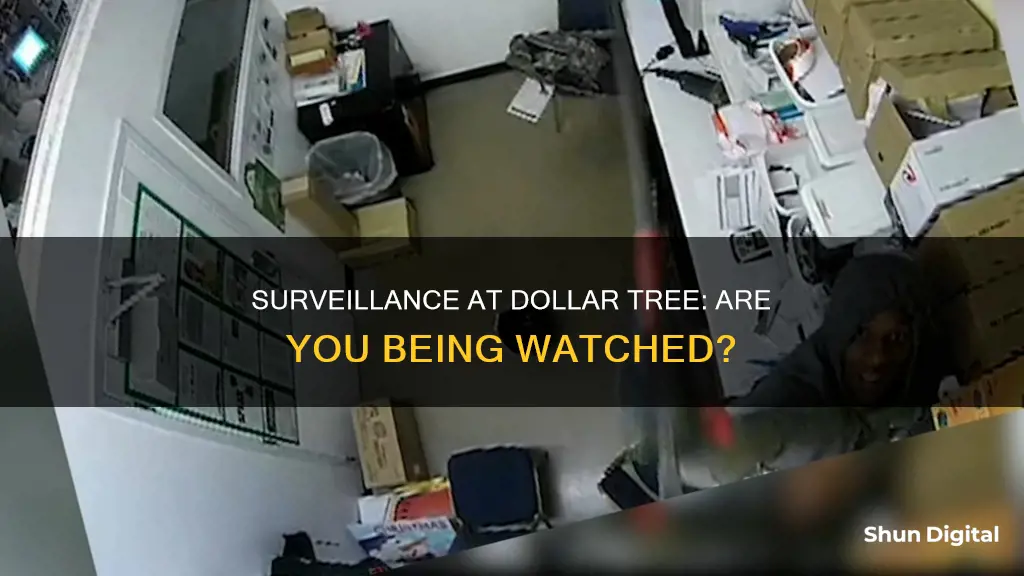 does dollar tree have surveillance cameras