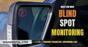 Ford F-150: Blind Spot Monitoring System Explained