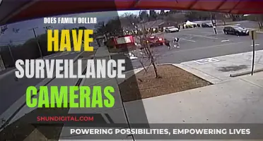 Family Dollar Surveillance: Cameras in Stores?