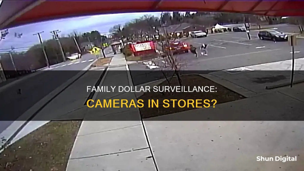 does family dollar have surveillance cameras