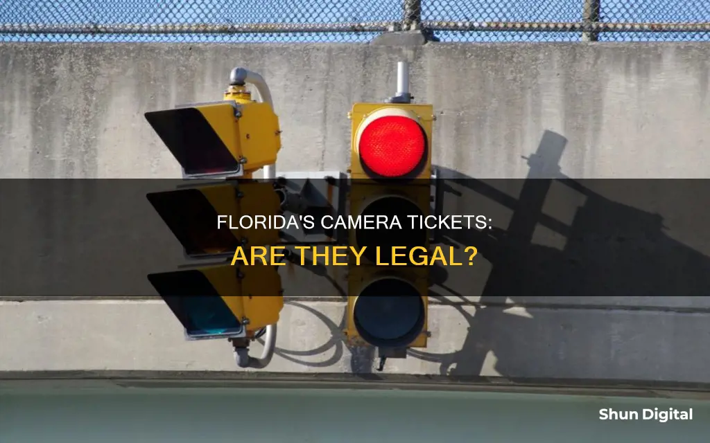 does florida have camera tickets