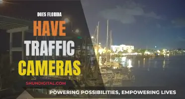 Traffic Cameras in Florida: Are You Being Watched?