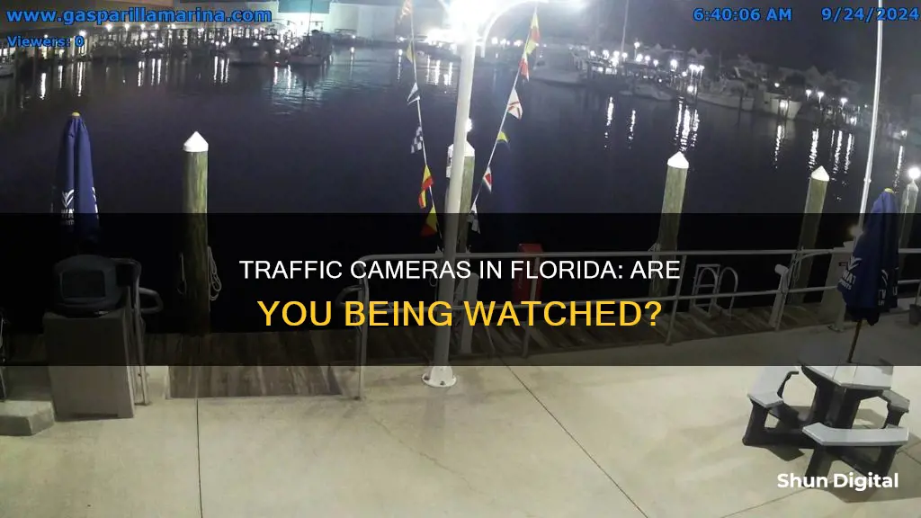 does florida have traffic cameras