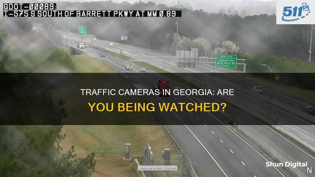 does georgia have traffic cameras