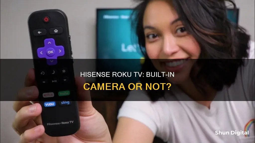 does hisense roku tv have a camera