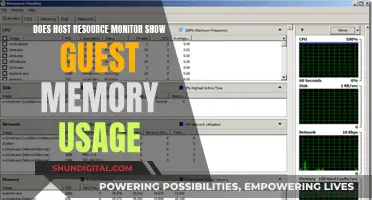 Host Resource Monitor: Tracking Guest Memory Usage?