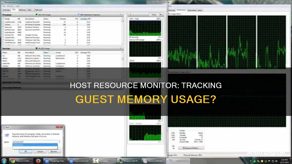 does host resource monitor show guest memory usage