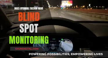 Hyundai Tucson: Blind Spot Monitoring Feature Explained