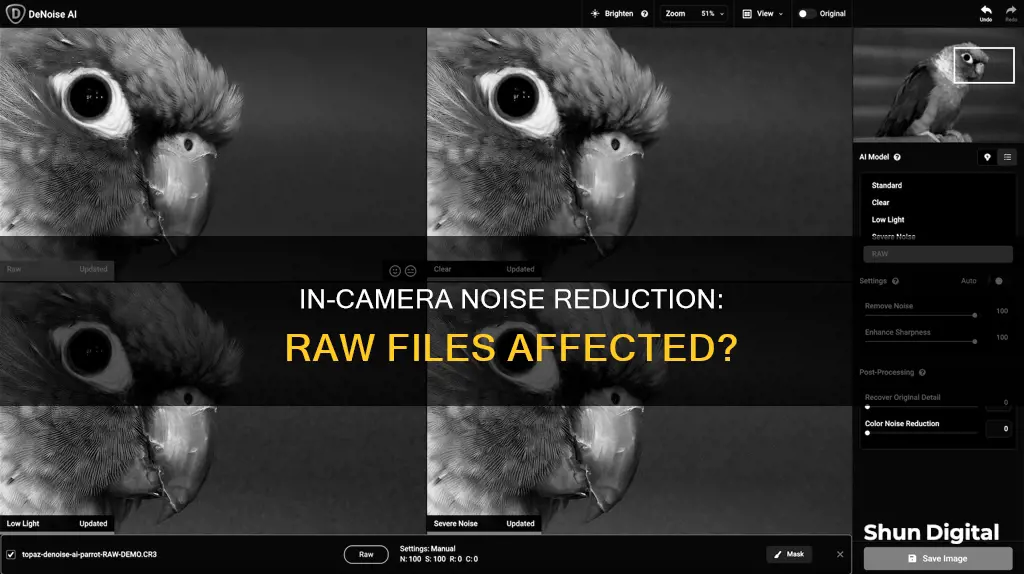 does in camera noise reduction affect raw files